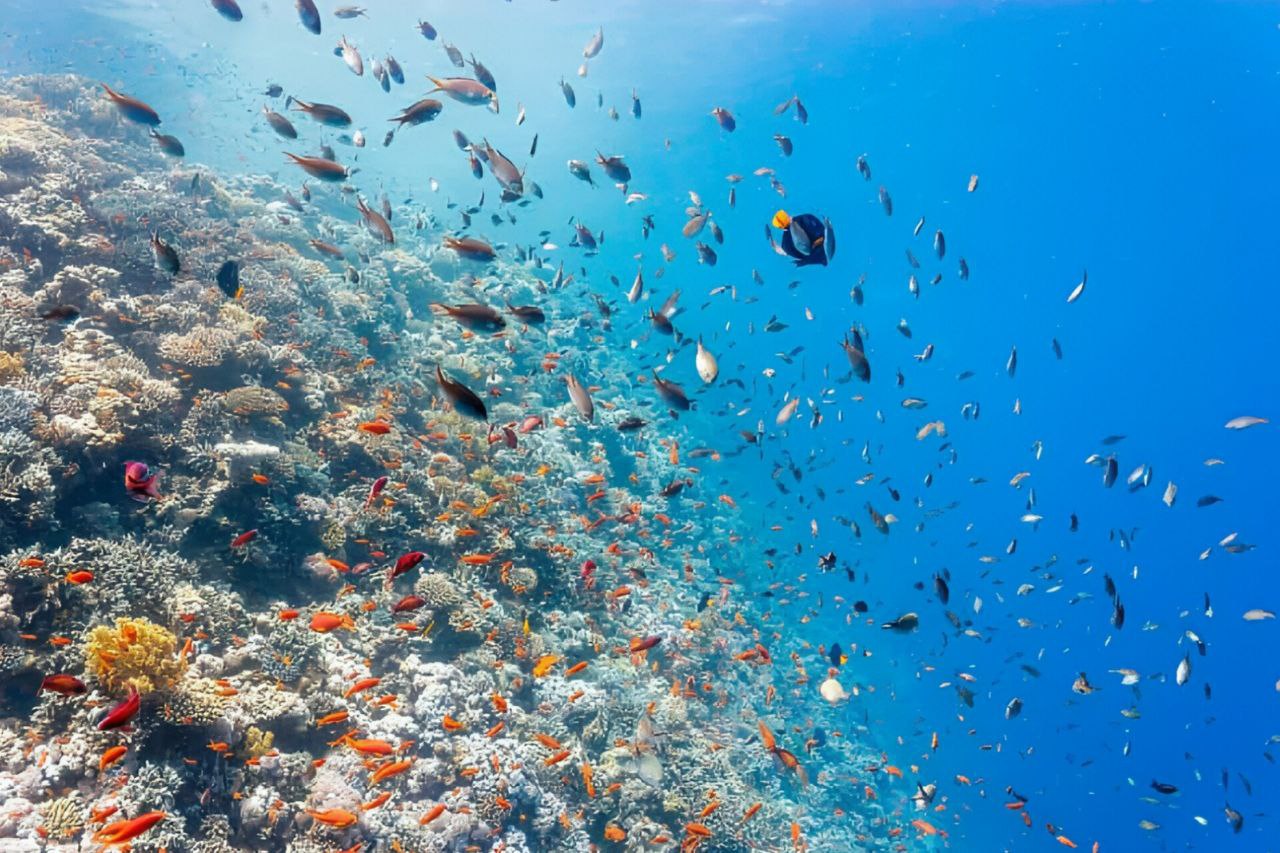 Blue Hole